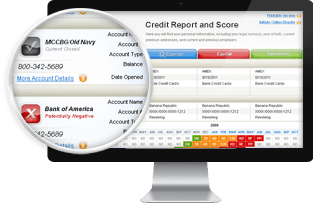 florida credit report